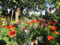 Granada (31) &ndash; &copy; Francisco Javier Burgos Gutierrez (Eberhardt TRAVEL)