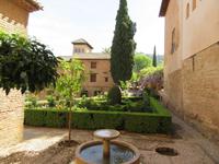 Granada (75) &ndash; &copy; Francisco Javier Burgos Gutierrez (Eberhardt TRAVEL)