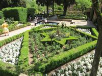 Granada (85) &ndash; &copy; Francisco Javier Burgos Gutierrez (Eberhardt TRAVEL)