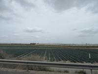 Murcia &ndash; &copy; Francisco Javier Burgos Gutierrez (Eberhardt TRAVEL)