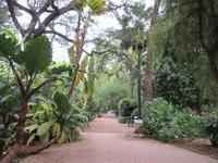 Valencia (32) &ndash; &copy; Francisco Javier Burgos Gutierrez (Eberhardt TRAVEL)