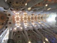 Barcelona (37) &ndash; &copy; Francisco Javier Burgos Gutierrez (Eberhardt TRAVEL)