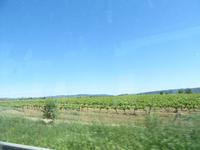 Codorniu (1) &ndash; &copy; Francisco Javier Burgos Gutierrez (Eberhardt TRAVEL)