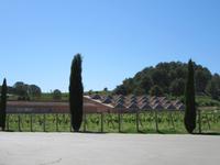 Codorniu (2) &ndash; &copy; Francisco Javier Burgos Gutierrez (Eberhardt TRAVEL)