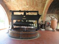 Codorniu (11) &ndash; &copy; Francisco Javier Burgos Gutierrez (Eberhardt TRAVEL)