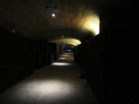 Codorniu (17) &ndash; &copy; Francisco Javier Burgos Gutierrez (Eberhardt TRAVEL)