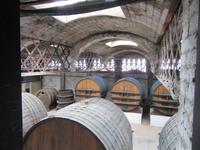 Codorniu (18) &ndash; &copy; Francisco Javier Burgos Gutierrez (Eberhardt TRAVEL)