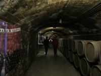 Codorniu (21) &ndash; &copy; Francisco Javier Burgos Gutierrez (Eberhardt TRAVEL)