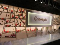 Codorniu (23) &ndash; &copy; Francisco Javier Burgos Gutierrez (Eberhardt TRAVEL)