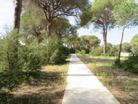 Nationalpark Donana &ndash; &copy; Rico Manns (Eberhardt TRAVEL)