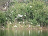 Nationalpark Donana &ndash; &copy; Rico Manns (Eberhardt TRAVEL)