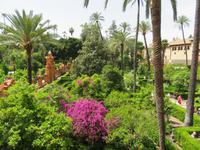 Alcázar &ndash; &copy; Rico Manns (Eberhardt TRAVEL)
