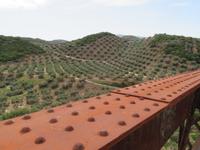 Via Verde del Aceite &ndash; &copy; Rico Manns (Eberhardt TRAVEL)