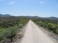 Via Verde del Aceite &ndash; &copy; Rico Manns (Eberhardt TRAVEL)