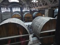 Codorniu &ndash; &copy; Sabine Letzybyll (Eberhardt TRAVEL)