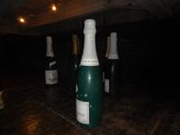 Codorniu