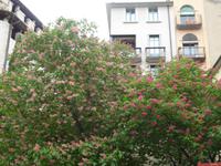 Girona &ndash; &copy; Sabine Letzybyll (Eberhardt TRAVEL)