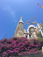 Barcelona &ndash; &copy; Franziska Schütt (Eberhardt TRAVEL)