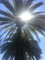 Barcelona &ndash; &copy; Franziska Schütt (Eberhardt TRAVEL)