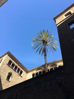 Barcelona &ndash; &copy; Franziska Schütt (Eberhardt TRAVEL)