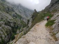 Single-Wanderreise in Nordspanien mit San Sebastian – Picos de Europa – Jakobsweg – Santiago de Compostela – Atlantikküste – Porto (133) &ndash; &copy; Benjamin Rodriguez Manzanares (Eberhardt TRAVEL)