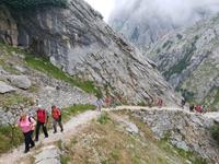 Single-Wanderreise in Nordspanien mit San Sebastian – Picos de Europa – Jakobsweg – Santiago de Compostela – Atlantikküste – Porto (135) &ndash; &copy; Benjamin Rodriguez Manzanares (Eberhardt TRAVEL)