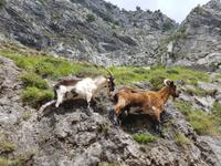 Single-Wanderreise in Nordspanien mit San Sebastian – Picos de Europa – Jakobsweg – Santiago de Compostela – Atlantikküste – Porto (170) &ndash; &copy; Benjamin Rodriguez Manzanares (Eberhardt TRAVEL)