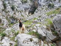 Single-Wanderreise in Nordspanien mit San Sebastian – Picos de Europa – Jakobsweg – Santiago de Compostela – Atlantikküste – Porto (173) &ndash; &copy; Benjamin Rodriguez Manzanares (Eberhardt TRAVEL)