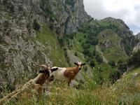 Single-Wanderreise in Nordspanien mit San Sebastian – Picos de Europa – Jakobsweg – Santiago de Compostela – Atlantikküste – Porto (175) &ndash; &copy; Benjamin Rodriguez Manzanares (Eberhardt TRAVEL)