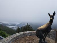 Single-Wanderreise in Nordspanien mit San Sebastian – Picos de Europa – Jakobsweg – Santiago de Compostela – Atlantikküste – Porto (219) &ndash; &copy; Benjamin Rodriguez Manzanares (Eberhardt TRAVEL)