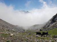 Single-Wanderreise in Nordspanien mit San Sebastian – Picos de Europa – Jakobsweg – Santiago de Compostela – Atlantikküste – Porto (265) &ndash; &copy; Benjamin Rodriguez Manzanares (Eberhardt TRAVEL)