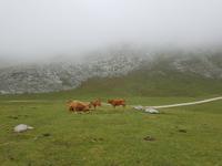 Single-Wanderreise in Nordspanien mit San Sebastian – Picos de Europa – Jakobsweg – Santiago de Compostela – Atlantikküste – Porto (281) &ndash; &copy; Benjamin Rodriguez Manzanares (Eberhardt TRAVEL)
