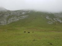 Single-Wanderreise in Nordspanien mit San Sebastian – Picos de Europa – Jakobsweg – Santiago de Compostela – Atlantikküste – Porto (283) &ndash; &copy; Benjamin Rodriguez Manzanares (Eberhardt TRAVEL)