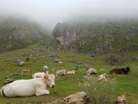 Single-Wanderreise in Nordspanien mit San Sebastian – Picos de Europa – Jakobsweg – Santiago de Compostela – Atlantikküste – Porto (288) &ndash; &copy; Benjamin Rodriguez Manzanares (Eberhardt TRAVEL)