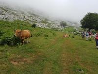 Single-Wanderreise in Nordspanien mit San Sebastian – Picos de Europa – Jakobsweg – Santiago de Compostela – Atlantikküste – Porto (334) &ndash; &copy; Benjamin Rodriguez Manzanares (Eberhardt TRAVEL)