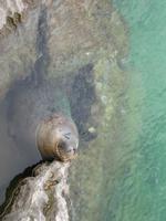 Santander (15) &ndash; &copy; Francisco Javier Burgos Gutierrez (Eberhardt TRAVEL)