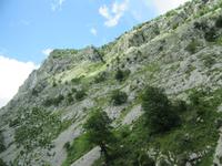 Cabrales (6) &ndash; &copy; Francisco Javier Burgos Gutierrez (Eberhardt TRAVEL)