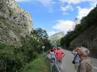 Cabrales (10) &ndash; &copy; Francisco Javier Burgos Gutierrez (Eberhardt TRAVEL)