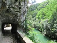 Cabrales (12) &ndash; &copy; Francisco Javier Burgos Gutierrez (Eberhardt TRAVEL)