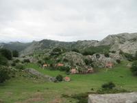 Covadonga (29) &ndash; &copy; Francisco Javier Burgos Gutierrez (Eberhardt TRAVEL)