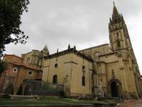 Oviedo (17) &ndash; &copy; Francisco Javier Burgos Gutierrez (Eberhardt TRAVEL)