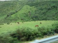Lugo (31) &ndash; &copy; Francisco Javier Burgos Gutierrez (Eberhardt TRAVEL)