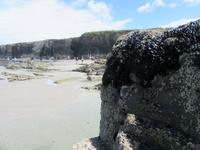 Kathedralestrand (32) &ndash; &copy; Francisco Javier Burgos Gutierrez (Eberhardt TRAVEL)