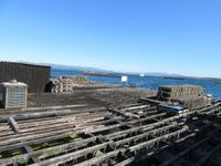 O Grove (14) &ndash; &copy; Francisco Javier Burgos Gutierrez (Eberhardt TRAVEL)