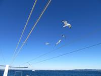 O Grove (21) &ndash; &copy; Francisco Javier Burgos Gutierrez (Eberhardt TRAVEL)