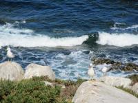 Baiona (20) &ndash; &copy; Francisco Javier Burgos Gutierrez (Eberhardt TRAVEL)