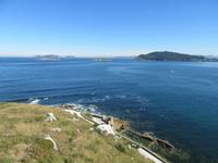 Baiona (21) &ndash; &copy; Francisco Javier Burgos Gutierrez (Eberhardt TRAVEL)