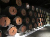 Porto (48) &ndash; &copy; Francisco Javier Burgos Gutierrez (Eberhardt TRAVEL)