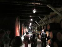 Porto (56) &ndash; &copy; Francisco Javier Burgos Gutierrez (Eberhardt TRAVEL)