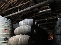 Porto (60) &ndash; &copy; Francisco Javier Burgos Gutierrez (Eberhardt TRAVEL)